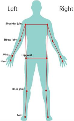 A comparative analysis of punching in boxing and sanda: kinematic differences based on the cross and uppercut